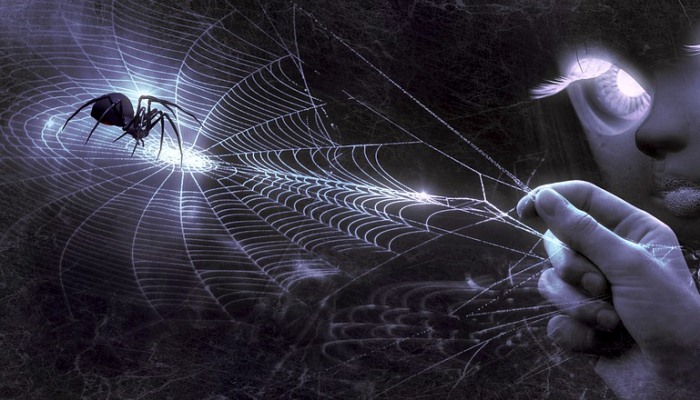 Sueños ancestrales con arañas 