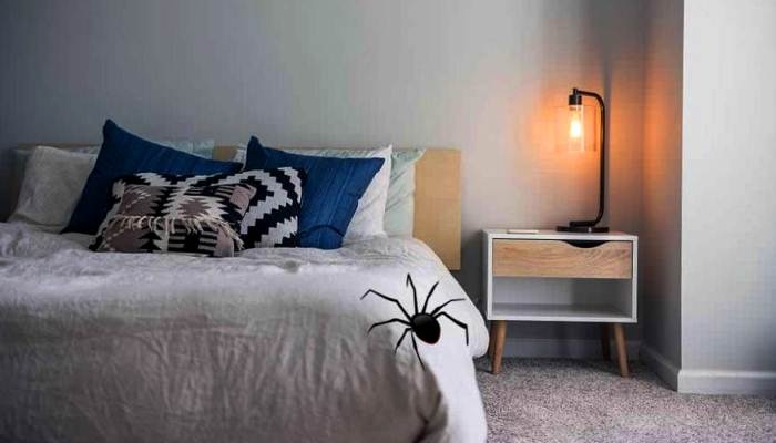 Arañas en la cama