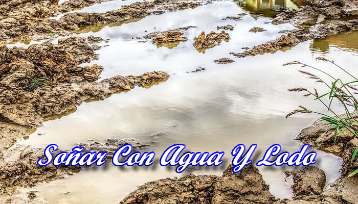 Significado E Interpretaciones De Soñar Con Agua Lodosa (Fangosa)