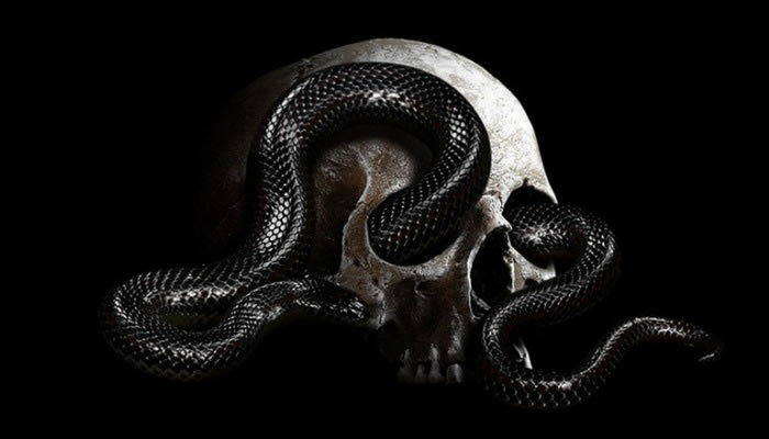 Soñé que una serpiente negra me mordió significado